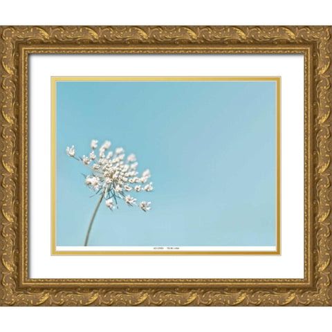 Lace 1 Blue Gold Ornate Wood Framed Art Print with Double Matting by Telik, Tracey