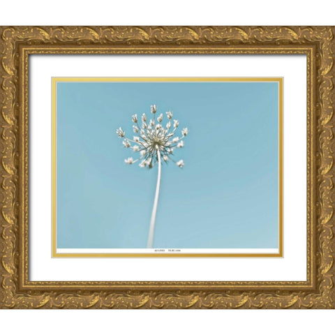 Lacey 2 Gold Ornate Wood Framed Art Print with Double Matting by Telik, Tracey