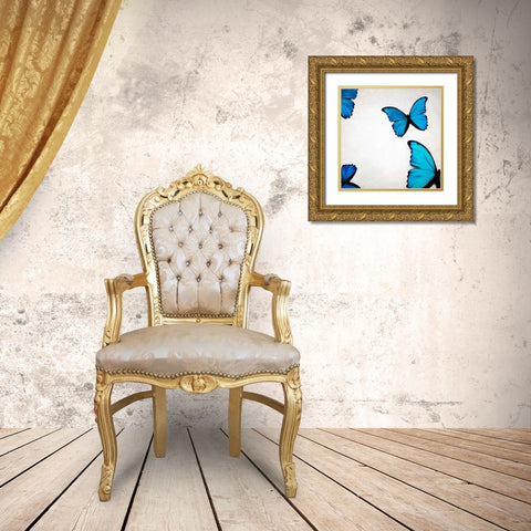 Blue Morphos Gold Ornate Wood Framed Art Print with Double Matting by Telik, Tracey