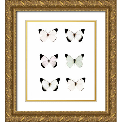 Pale Butterflies 6 Gold Ornate Wood Framed Art Print with Double Matting by Telik, Tracey