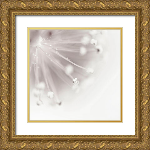 Flagella 2 Gold Ornate Wood Framed Art Print with Double Matting by Urban Epiphany