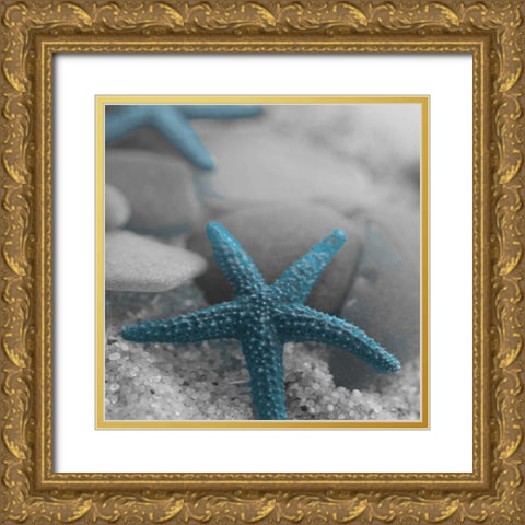Blue Star Gold Ornate Wood Framed Art Print with Double Matting by Pazan, Tony