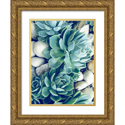 Succulents no words Gold Ornate Wood Framed Art Print with Double Matting by Urban Epiphany