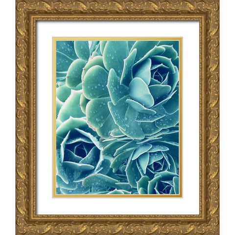 Succulent with Dew 2 Gold Ornate Wood Framed Art Print with Double Matting by Urban Epiphany