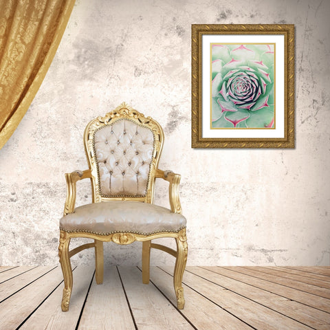 Succulent Red Tips Gold Ornate Wood Framed Art Print with Double Matting by Urban Epiphany