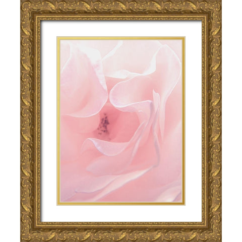 Rose Close Up 2 Gold Ornate Wood Framed Art Print with Double Matting by Urban Epiphany