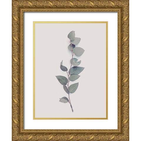 Tiny Branch Gold Ornate Wood Framed Art Print with Double Matting by Urban Epiphany