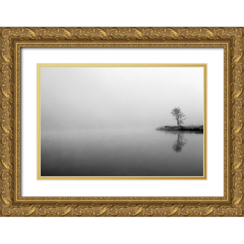 Misty Tree Gold Ornate Wood Framed Art Print with Double Matting by Urban Epiphany