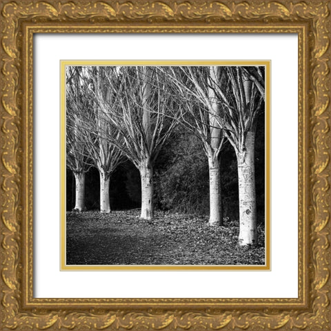 Winter Avenue Square Gold Ornate Wood Framed Art Print with Double Matting by Urban Epiphany