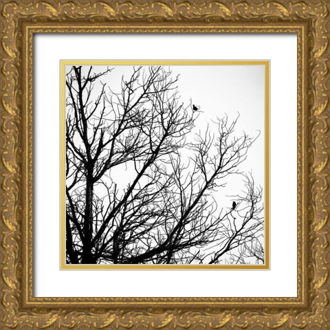 Winter Birds Gold Ornate Wood Framed Art Print with Double Matting by Urban Epiphany
