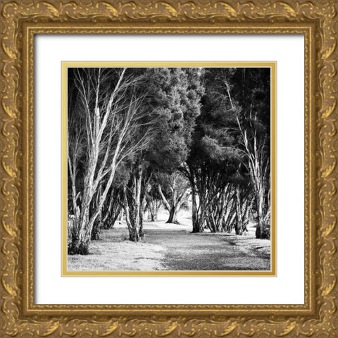Winter Path Square Gold Ornate Wood Framed Art Print with Double Matting by Urban Epiphany