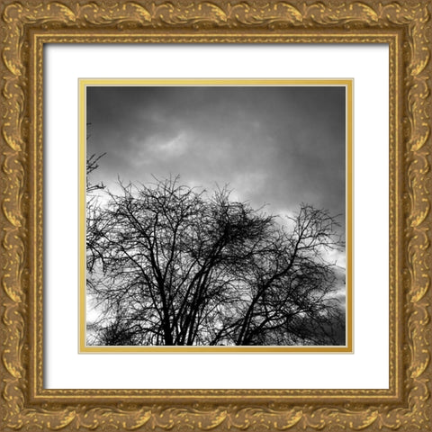 Winter Sky Square Gold Ornate Wood Framed Art Print with Double Matting by Urban Epiphany