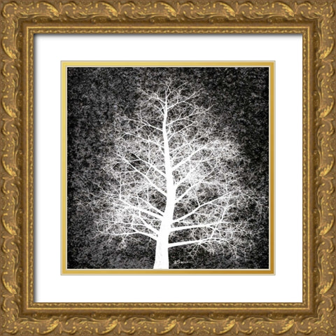 Nordic Spirit 4 Gold Ornate Wood Framed Art Print with Double Matting by Brown, Victoria