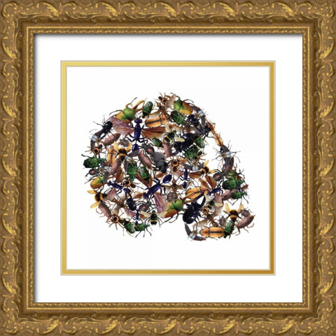 Skull 1.3.2 Gold Ornate Wood Framed Art Print with Double Matting by Brown, Victoria