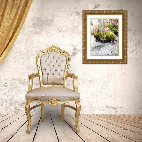 Winter Bog Gold Ornate Wood Framed Art Print with Double Matting by Unknown
