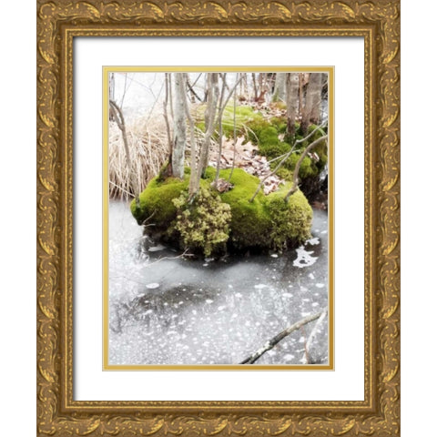 Winter Bog Gold Ornate Wood Framed Art Print with Double Matting by Unknown