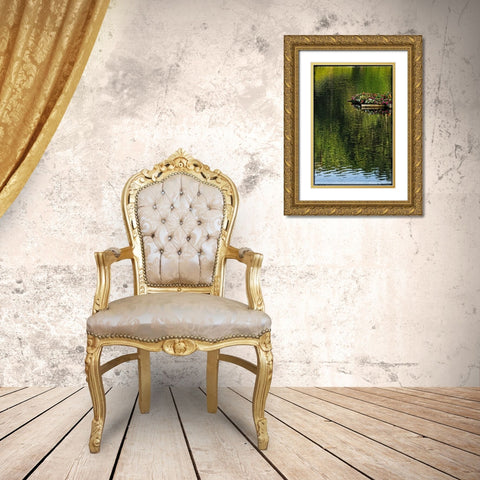 A Floating Garden Gold Ornate Wood Framed Art Print with Double Matting by Foschino, Suzanne