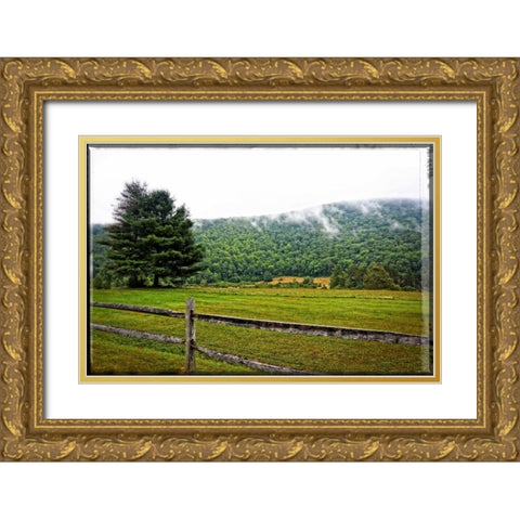 Morning Mountain Smoke Gold Ornate Wood Framed Art Print with Double Matting by Foschino, Suzanne
