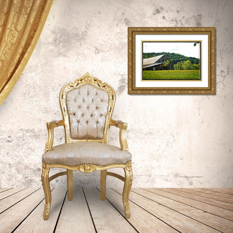 Country Barn 4 Gold Ornate Wood Framed Art Print with Double Matting by Foschino, Suzanne