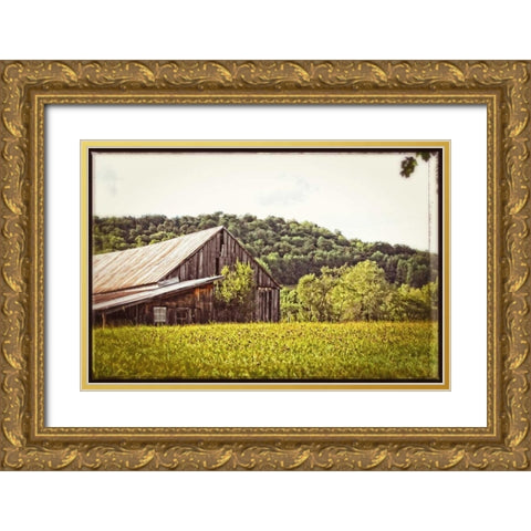 Country Barn 4 Vintage Gold Ornate Wood Framed Art Print with Double Matting by Foschino, Suzanne