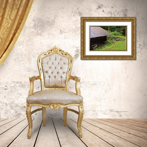 Deep Woods Lean To Vintage Gold Ornate Wood Framed Art Print with Double Matting by Foschino, Suzanne
