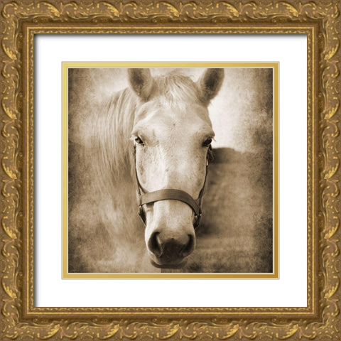 Good Boy Gold Ornate Wood Framed Art Print with Double Matting by Foschino, Suzanne