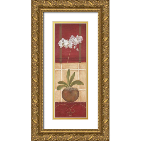 Window Wonders I Gold Ornate Wood Framed Art Print with Double Matting by Tava Studios