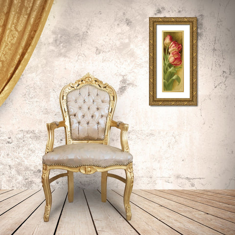 Springs Parrot Tulip II Gold Ornate Wood Framed Art Print with Double Matting by Levashov, Igor