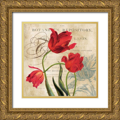 Botanists Gold Ornate Wood Framed Art Print with Double Matting by Robinson, Carol