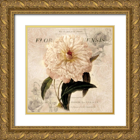 White Peony I Gold Ornate Wood Framed Art Print with Double Matting by Robinson, Carol