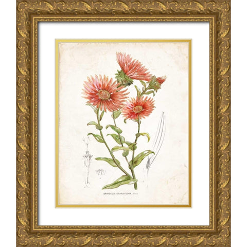 Botanical I Gold Ornate Wood Framed Art Print with Double Matting by Nan