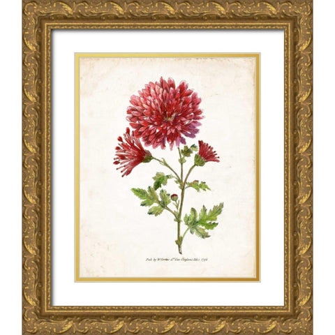 Botanical III Gold Ornate Wood Framed Art Print with Double Matting by Nan