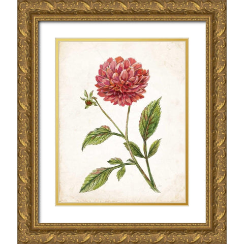 Scarlet Botanical I Gold Ornate Wood Framed Art Print with Double Matting by Nan