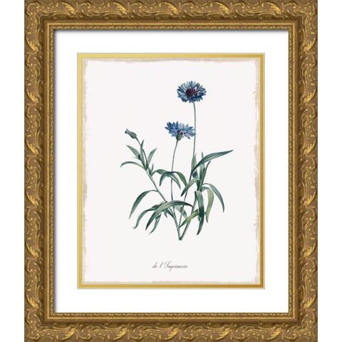 Imperial Blue Gold Ornate Wood Framed Art Print with Double Matting by Donovan, Kelly