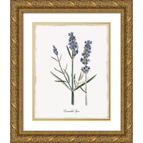 Lavender Gold Ornate Wood Framed Art Print with Double Matting by Donovan, Kelly