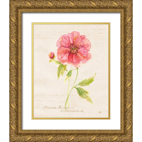 Botanical Peony Gold Ornate Wood Framed Art Print with Double Matting by Robinson, Carol