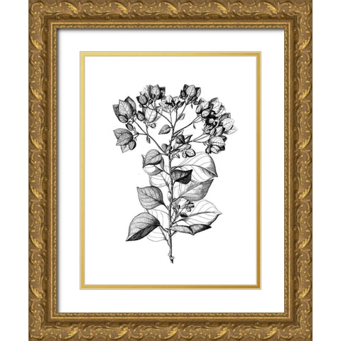 Botanical Black and Gold Ornate Wood Framed Art Print with Double Matting by Donovan, Kelly