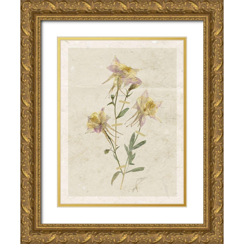 Pressed Columbine Gold Ornate Wood Framed Art Print with Double Matting by Robinson, Carol