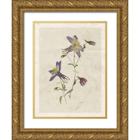 Pressed Columbine Gold Ornate Wood Framed Art Print with Double Matting by Robinson, Carol