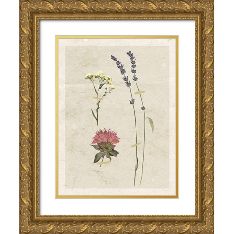 Pressed Lavender I Gold Ornate Wood Framed Art Print with Double Matting by Robinson, Carol