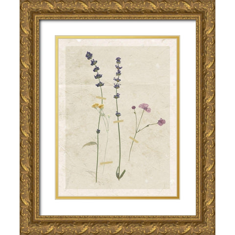 Pressed Lavender Gold Ornate Wood Framed Art Print with Double Matting by Robinson, Carol