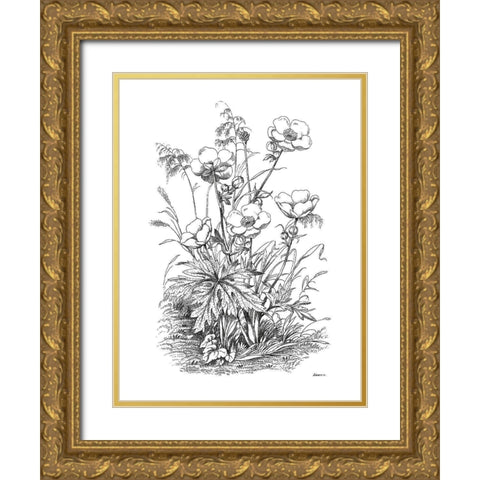 Botanical Black and Gold Ornate Wood Framed Art Print with Double Matting by Donovan, Kelly