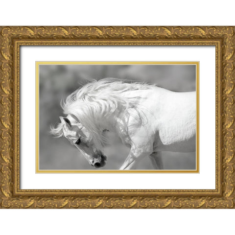 White Stallion Gold Ornate Wood Framed Art Print with Double Matting by Klopfer, Lee