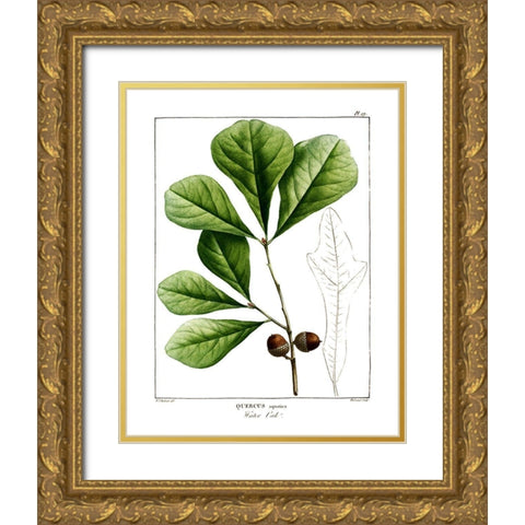 White Oak Gold Ornate Wood Framed Art Print with Double Matting by Donovan, Kelly