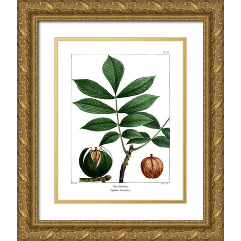 Nut Hickory Gold Ornate Wood Framed Art Print with Double Matting by Donovan, Kelly