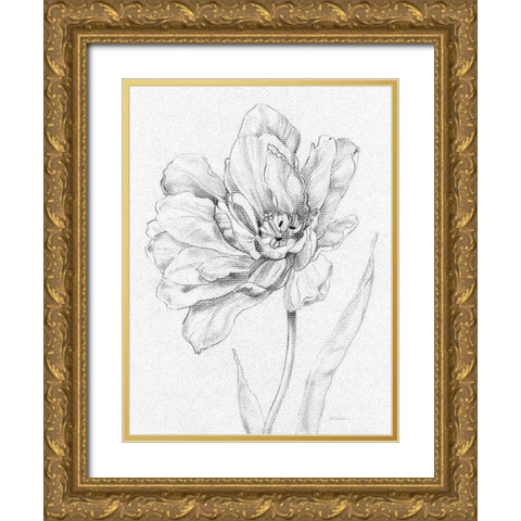 Tulip Sketch Gold Ornate Wood Framed Art Print with Double Matting by Robinson, Carol