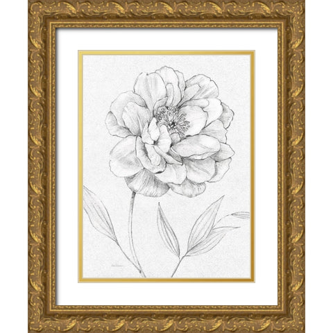 Peony Sketch Gold Ornate Wood Framed Art Print with Double Matting by Robinson, Carol