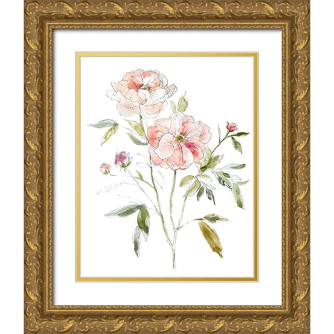 Sketchbook Cottage Rose I Gold Ornate Wood Framed Art Print with Double Matting by Robinson, Carol
