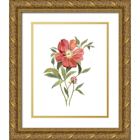 Scarlet Peony Gold Ornate Wood Framed Art Print with Double Matting by Robinson, Carol