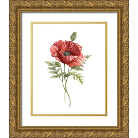 Scarlet Poppy Gold Ornate Wood Framed Art Print with Double Matting by Robinson, Carol